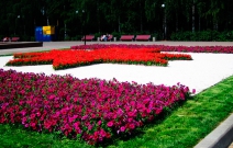 Цветники на Центральной площади (2011).