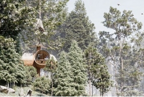 Победители конкурса Tree House 2024